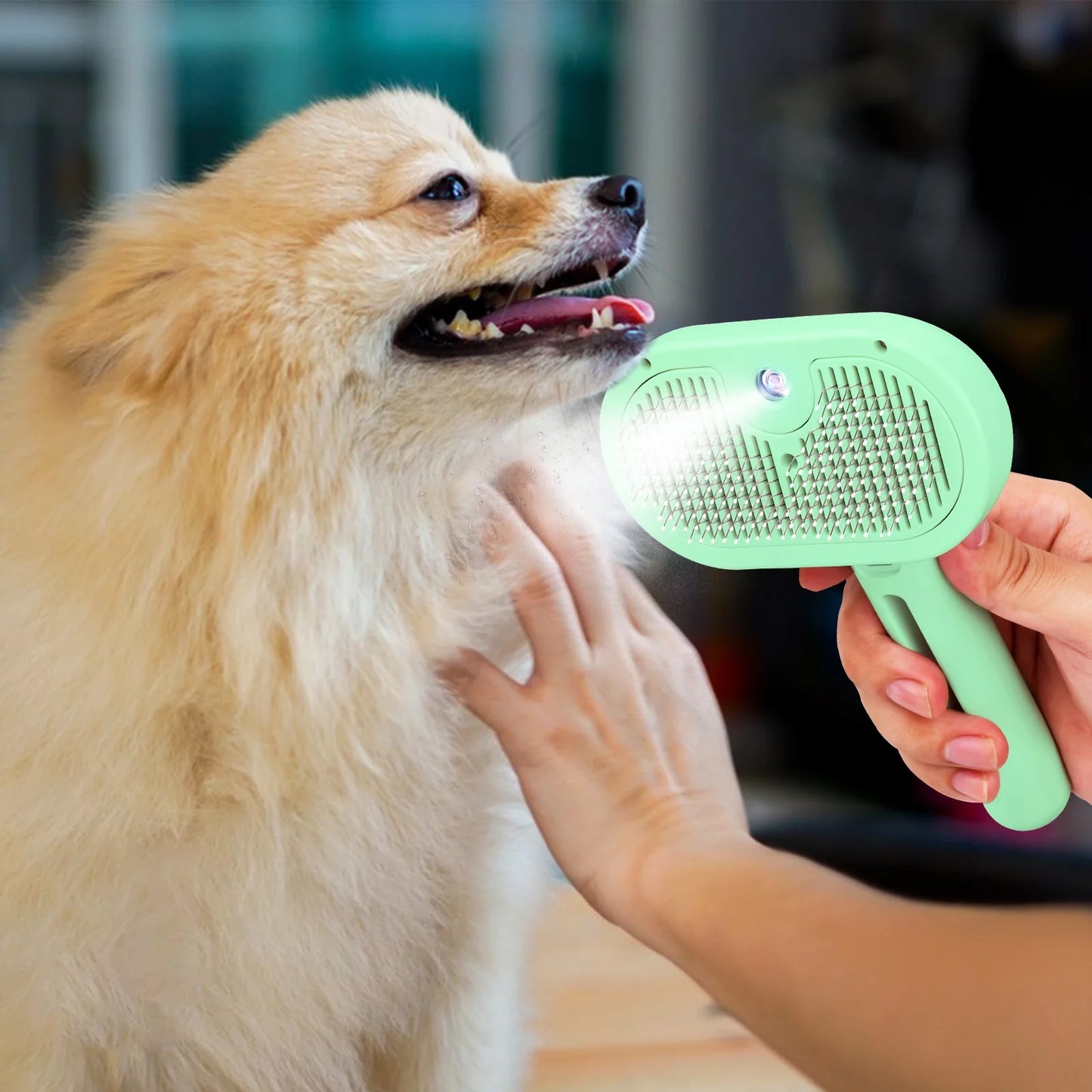 Pet Pal Steam Brush 2.0 Grooming Kit