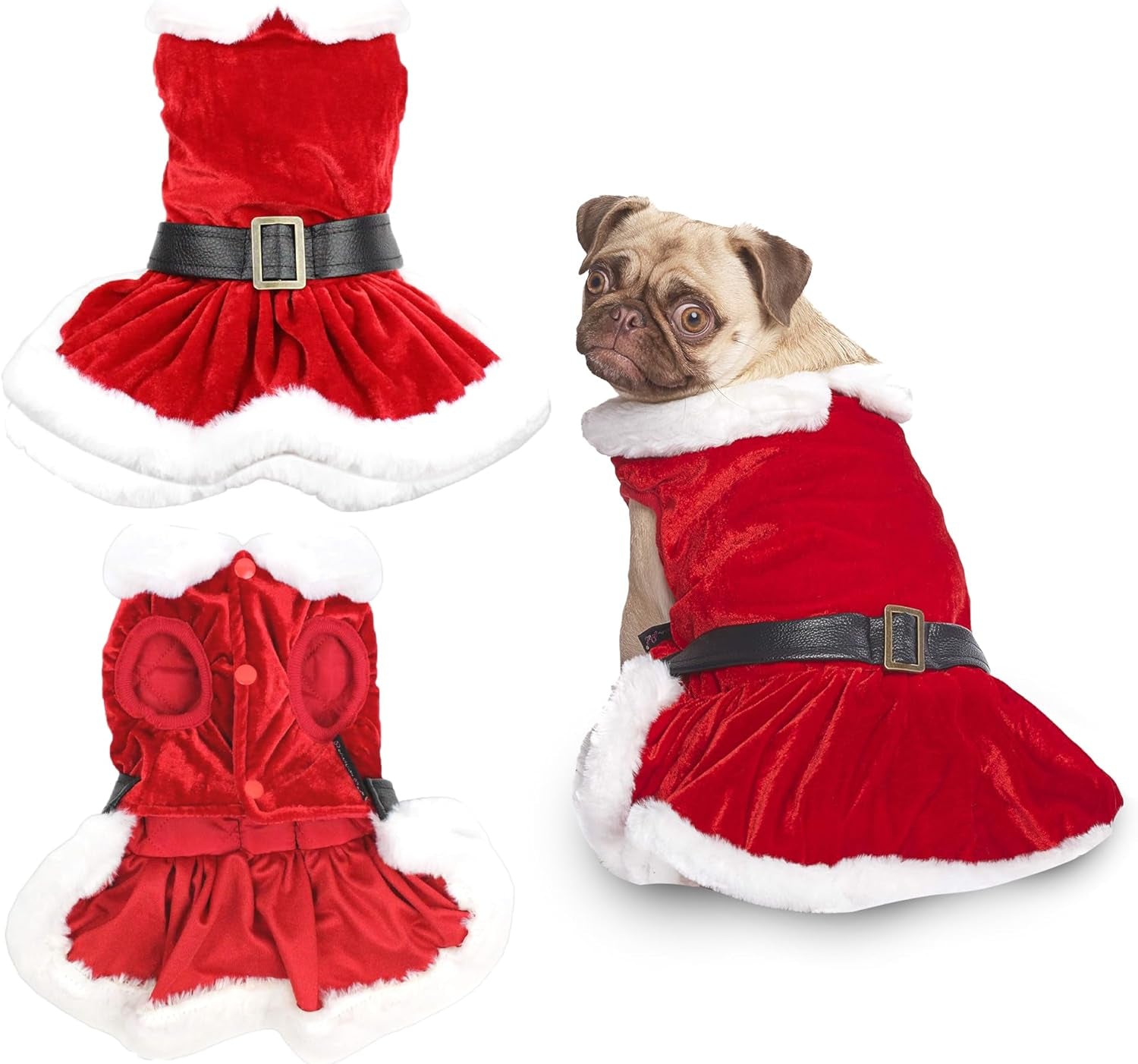 Naughty Dog Santa Dress