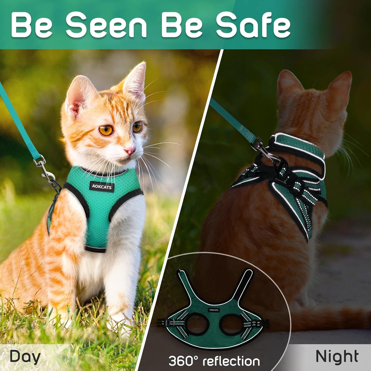 Cat Harness and Leash Set