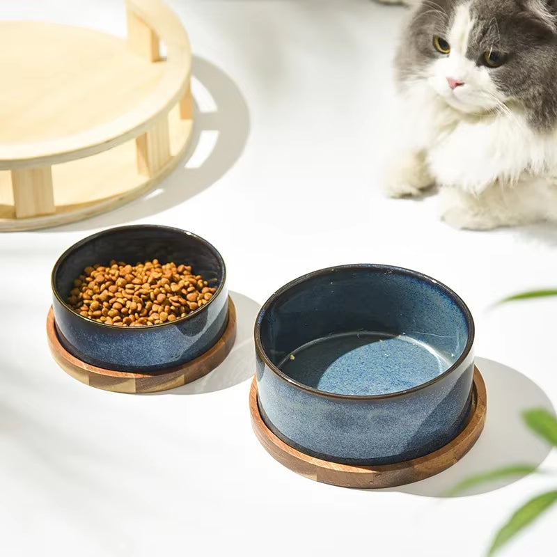 Ceramic Cat Bowl