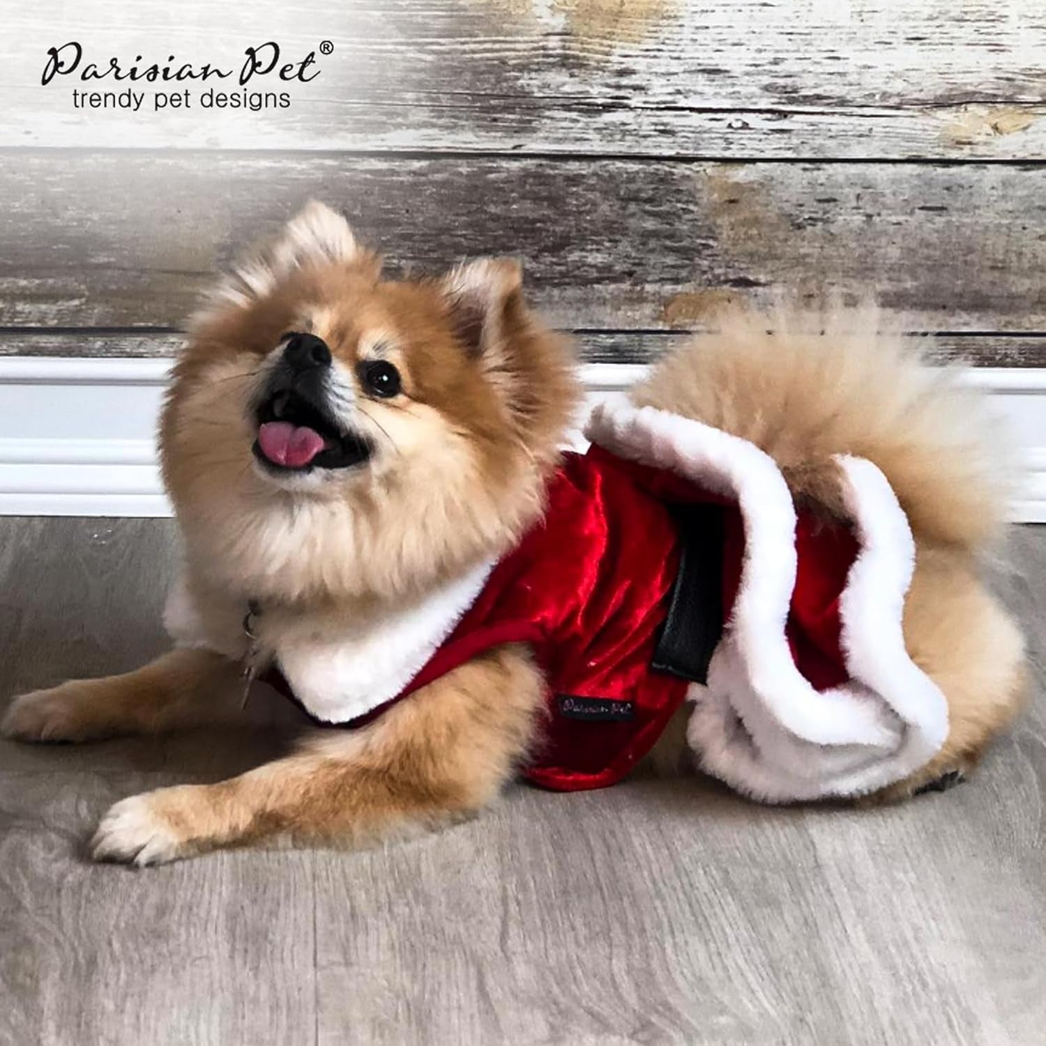 Naughty Dog Santa Dress