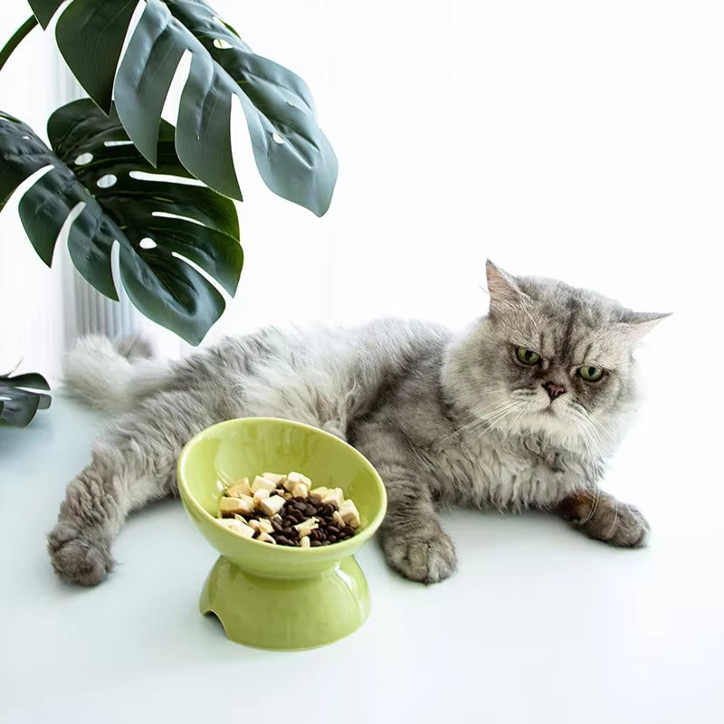 Elevated Ceramic Cat Bowl