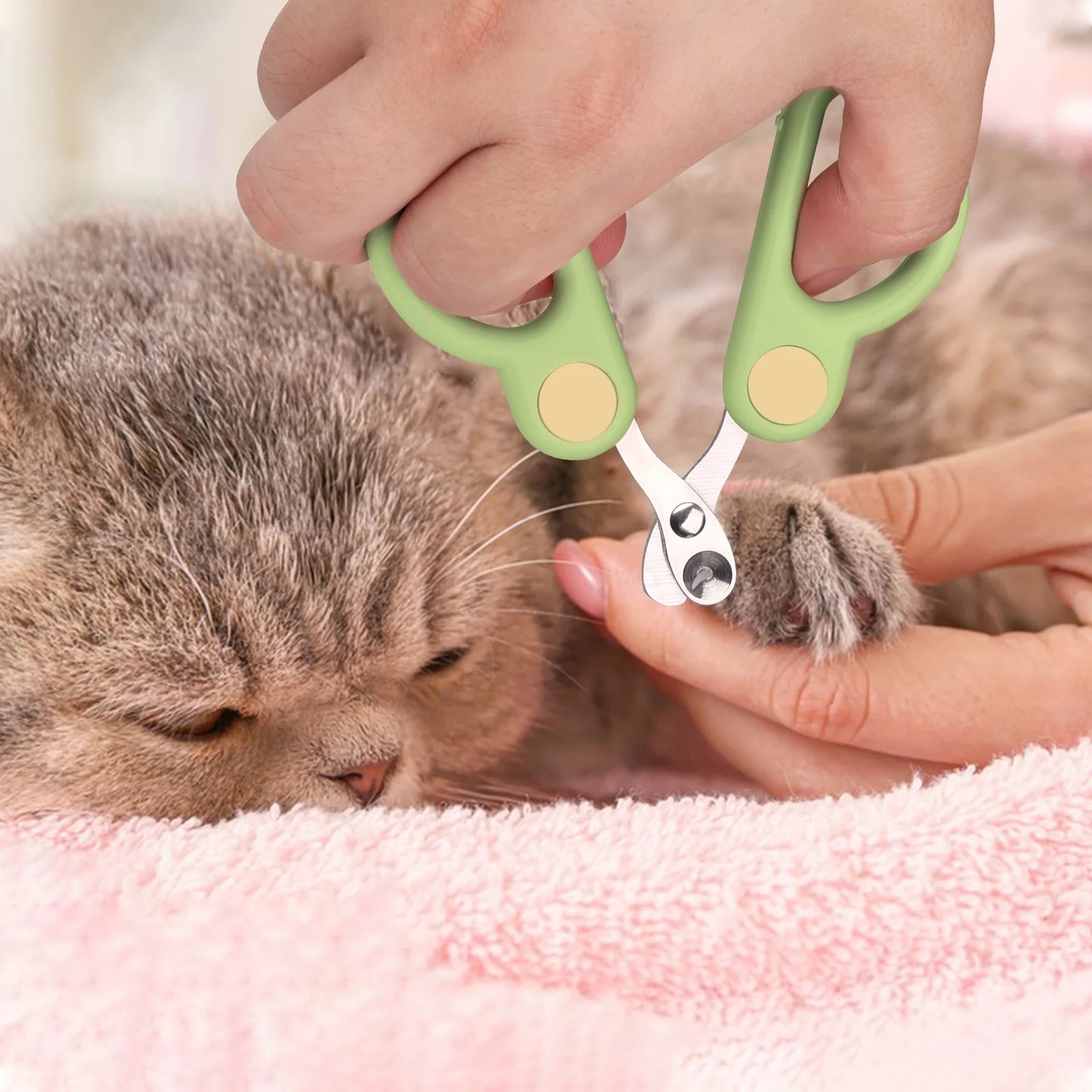 Pet Pal Steam Brush 2.0 Grooming Kit