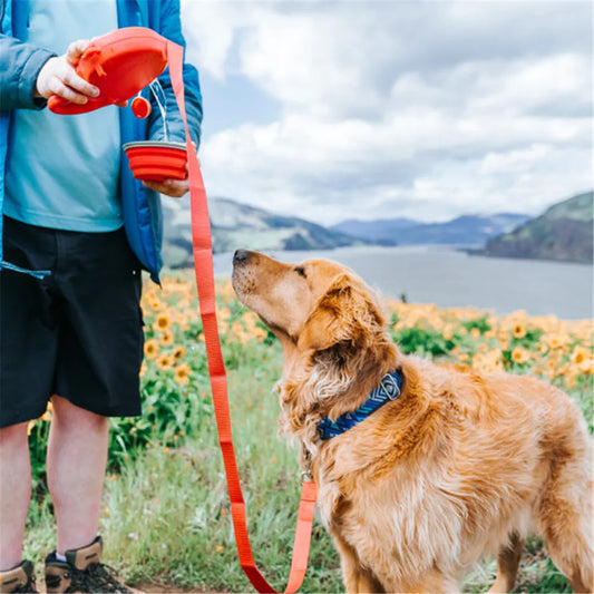 Pet Chef Aqua Leash