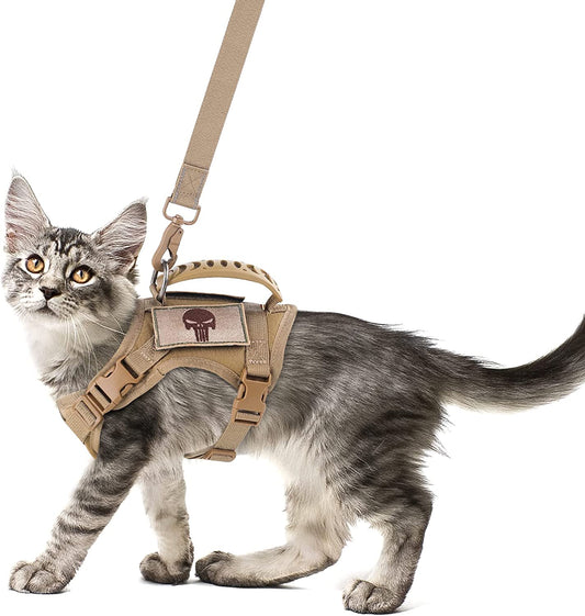 Tactical Cat Harness and Leash Set