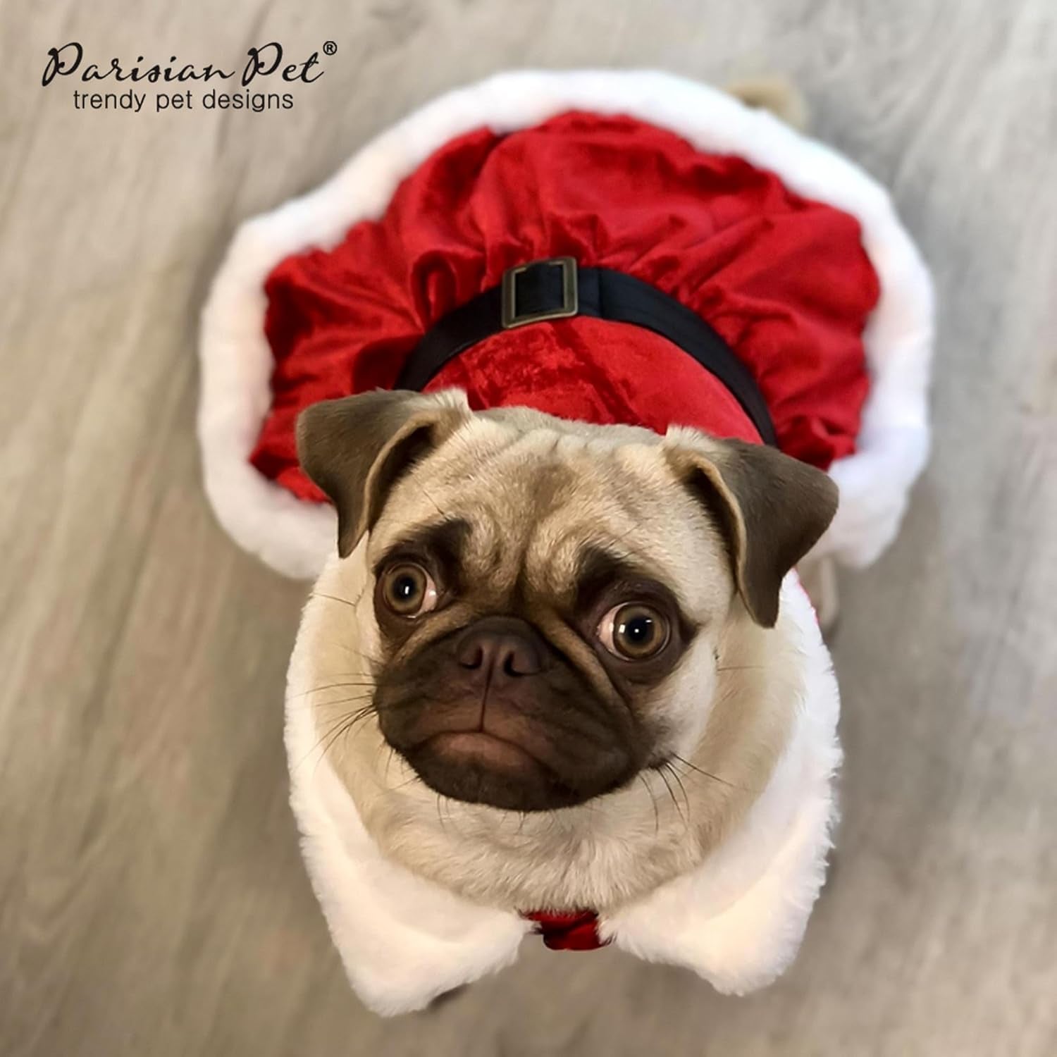 Naughty Dog Santa Dress