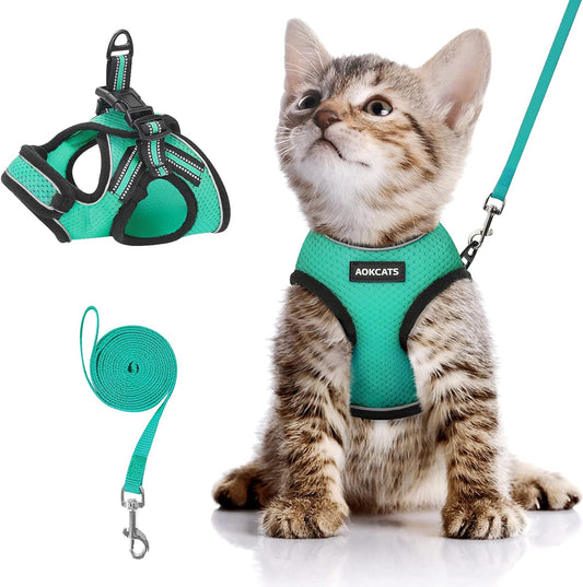 Cat Harness and Leash Set